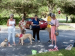 Episcopal Church Members with their Pets Celebrate Life with Blessings of the Animals in Sarasota, FL