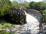Nature Walks with Members of an Episcopal Church and their Pets Celebrating Life in Sarasota, FL